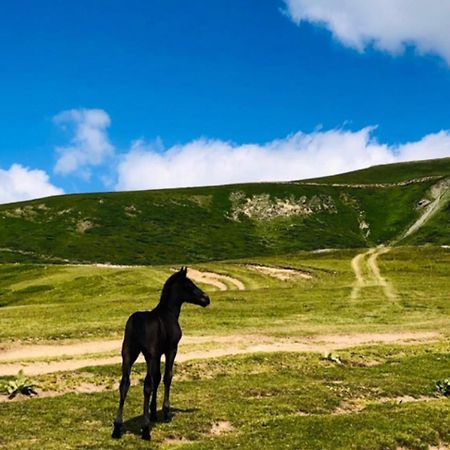 Appartamento Central Kolašin Esterno foto